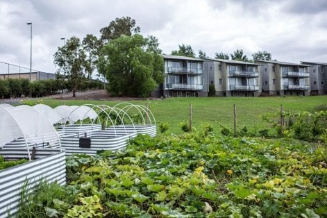 Vegetable Garden | Golden Door Australia